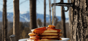 Best Maple Syrup in Canada 2023: Comprehensive Guide