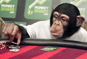 Chimps Can’t Play Poker, But They’re Good At Other Games